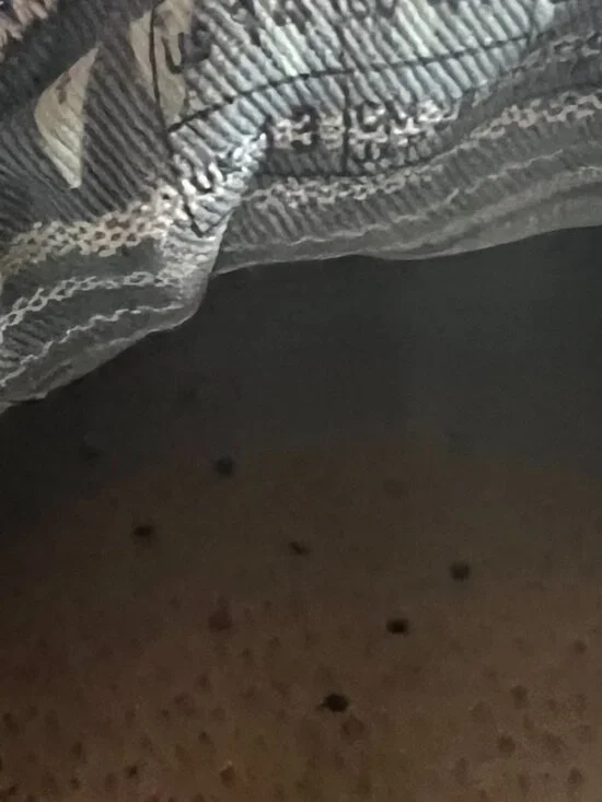 Big Mans size 14 Hey dude - Picture 4 of 7